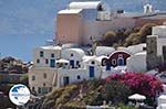 Oia Santorini (Thira) - Photo 16 - Photo GreeceGuide.co.uk