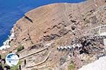 Fira (Thira) Santorini | Cyclades Greece | Greece  Photo 55 - Photo GreeceGuide.co.uk