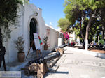 Island of Spetses Greece Greece  Photo 011 - Photo GreeceGuide.co.uk