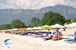 Golden Beach - Skala Panagia - Chrissi Ammoudia | Thassos | Photo 5 - Photo GreeceGuide.co.uk