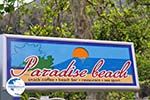 Paradise Beach - Kinira | Thassos | Photo 13 - Photo GreeceGuide.co.uk