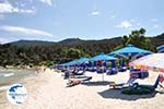 Makryammos - beach near Limenas (Thassos town) | Photo 12 - Photo GreeceGuide.co.uk