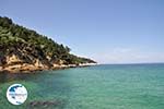 Makryammos - beach near Limenas (Thassos town) | Photo 17 - Photo GreeceGuide.co.uk