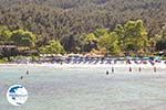 Makryammos - beach near Limenas (Thassos town) | Photo 18 - Photo GreeceGuide.co.uk