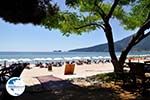 Golden Beach - Skala Panagia - Chrissi Ammoudia | Thassos | Photo 10 - Photo GreeceGuide.co.uk
