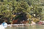 Golden Beach - Skala Panagia - Chrissi Ammoudia | Thassos | Photo 15 - Photo GreeceGuide.co.uk