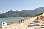 Golden Beach - Skala Panagia - Chrissi Ammoudia | Thassos | Photo 25 - Photo GreeceGuide.co.uk