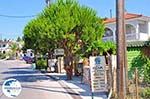 Agios Leon Zakynthos | Greece | Greece  nr4 - Photo GreeceGuide.co.uk