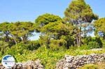 Agios Leon Zakynthos | Greece | Greece  nr6 - Photo GreeceGuide.co.uk