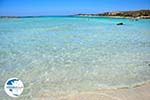 Elafonisi (Elafonissi) Crete - Greece - Photo 18 - Photo GreeceGuide.co.uk