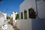 Chora Folegandros - Island of Folegandros - Cyclades - Photo 34 - Photo GreeceGuide.co.uk