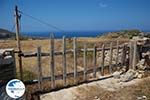 Island of Folegandros - Cyclades - Photo 114 - Photo GreeceGuide.co.uk