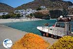 Angali Folegandros - Agali beach - Cyclades - Photo 134 - Photo GreeceGuide.co.uk