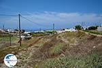 Ano Meria Folegandros - Island of Folegandros - Cyclades - Photo 195 - Photo GreeceGuide.co.uk