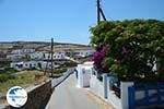 Ano Meria Folegandros - Island of Folegandros - Cyclades - Photo 198 - Photo GreeceGuide.co.uk