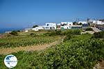 Ano Meria Folegandros - Island of Folegandros - Cyclades - Photo 209 - Photo GreeceGuide.co.uk