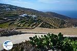 Ano Meria Folegandros - Island of Folegandros - Cyclades - Photo 215 - Photo GreeceGuide.co.uk