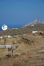 Ano Meria Folegandros - Island of Folegandros - Cyclades - Photo 218 - Photo GreeceGuide.co.uk