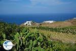 Ano Meria Folegandros - Island of Folegandros - Cyclades - Photo 220 - Photo GreeceGuide.co.uk