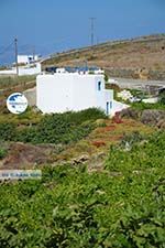 Ano Meria Folegandros - Island of Folegandros - Cyclades - Photo 229 - Photo GreeceGuide.co.uk