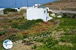 Ano Meria Folegandros - Island of Folegandros - Cyclades - Photo 230 - Photo GreeceGuide.co.uk