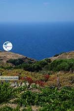 Ano Meria Folegandros - Island of Folegandros - Cyclades - Photo 232 - Photo GreeceGuide.co.uk