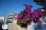 Chora Folegandros - Island of Folegandros - Cyclades - Photo 266 - Photo GreeceGuide.co.uk