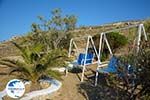 Livadi Folegandros - Island of Folegandros - Cyclades - Photo 275 - Photo GreeceGuide.co.uk