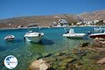 Karavostasis Folegandros - Island of Folegandros - Cyclades - Photo 318 - Photo GreeceGuide.co.uk