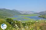 Wetland of Kalodiki (Epirus) Photo 3 - Photo GreeceGuide.co.uk