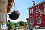 Bloemenpracht hotel Porfyron Ano Pedina - Zagori Epirus - Photo GreeceGuide.co.uk