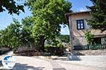 Centrale square Monodendri - Zagori Epirus - Photo GreeceGuide.co.uk