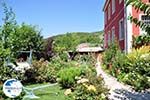 Hotel Porfyron in the small village Ano Pedina foto10 - Zagori Epirus - Photo GreeceGuide.co.uk