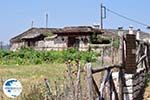 Beautiful huis in Vikos Village- Zagori Epirus - Photo GreeceGuide.co.uk