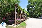 Restaurantje in the VillageVikos - Zagori Epirus - Photo GreeceGuide.co.uk