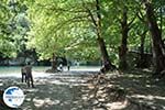 Voidomatis River near Aristi Photo 1 - Zagori Epirus - Photo GreeceGuide.co.uk