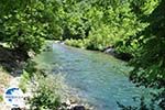 Voidomatis River near Aristi Photo 4 - Zagori Epirus - Photo GreeceGuide.co.uk