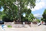 Traditional Village Papingo Photo 13 - Zagori Epirus - Photo GreeceGuide.co.uk