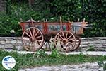 Traditional Village Ano Pedina foto6 - Zagori Epirus - Photo GreeceGuide.co.uk