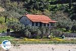 The Holly Mountain of Athos Photo 14 | Mount Athos Area Halkidiki | Greece - Photo GreeceGuide.co.uk