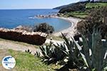 Mylopotamos | The Holly Mountain of Athos Photo 3 | Mount Athos Area Halkidiki | Greece - Photo GreeceGuide.co.uk