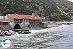 The harbour of Dafni - The Holly Mountain of Athos 006 | Mount Athos Area Halkidiki | Greece - Photo GreeceGuide.co.uk