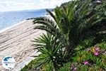 Mooie Beaches near Eagles Palace Ouranoupolis Photo 7 | Mount Athos Area Halkidiki | Greece - Photo GreeceGuide.co.uk