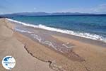 Sandy beach Ierissos Photo 2 | Mount Athos Area Halkidiki | Greece - Photo GreeceGuide.co.uk