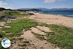 Sandy beach Ierissos Photo 10 | Mount Athos Area Halkidiki | Greece - Photo GreeceGuide.co.uk