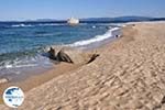 Sandy beach Ierissos Photo 12 | Mount Athos Area Halkidiki | Greece - Photo GreeceGuide.co.uk
