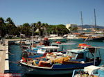 Kos town - Greece  Photo 9 - Photo GreeceGuide.co.uk