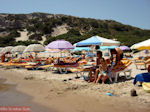Paradise Beach Kos - Greece  Photo 19 - Photo GreeceGuide.co.uk