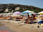 Paradise Beach Kos - Greece  Photo 19 - Photo GreeceGuide.co.uk