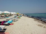 Tigaki Kos - Greece  Photo 15 - Photo GreeceGuide.co.uk